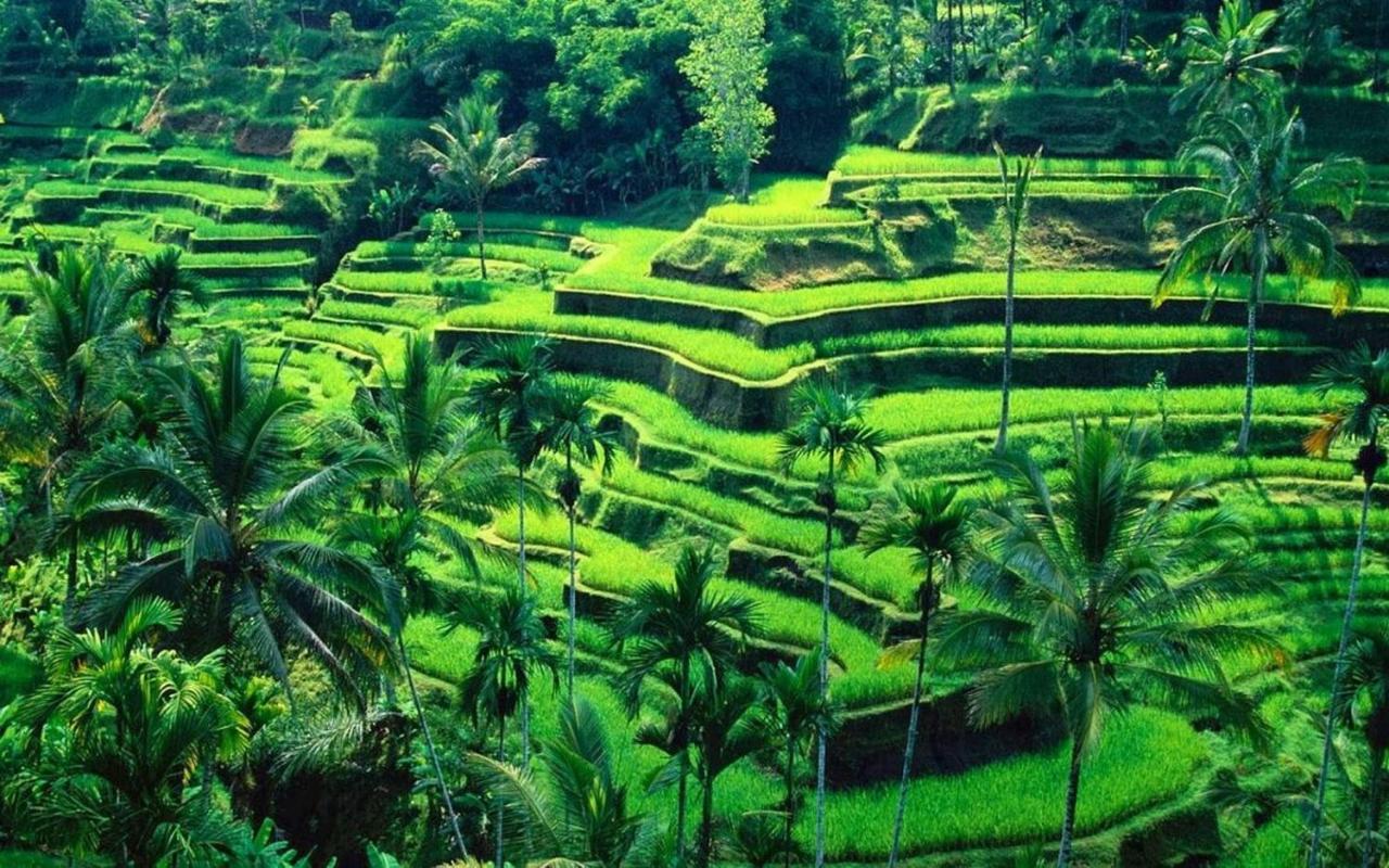 Ubud River Campuhan Villa 외부 사진
